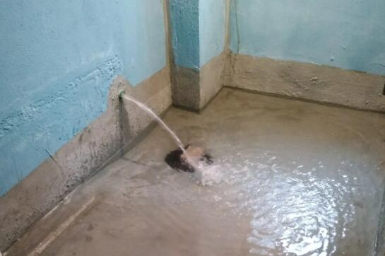 防水测试怎么做呢?什么时候做较好?