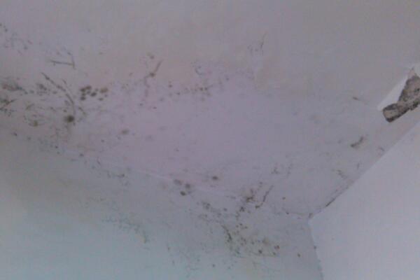 防水施工的误区有哪些?如何应对?